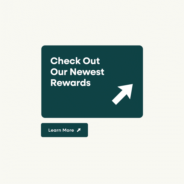 Animated GIF showing iconography designed.