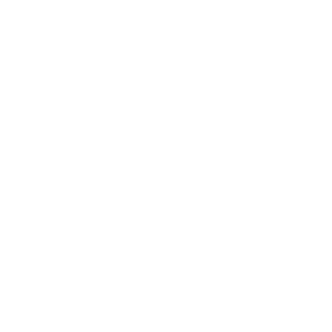 Lincoln Financial logo